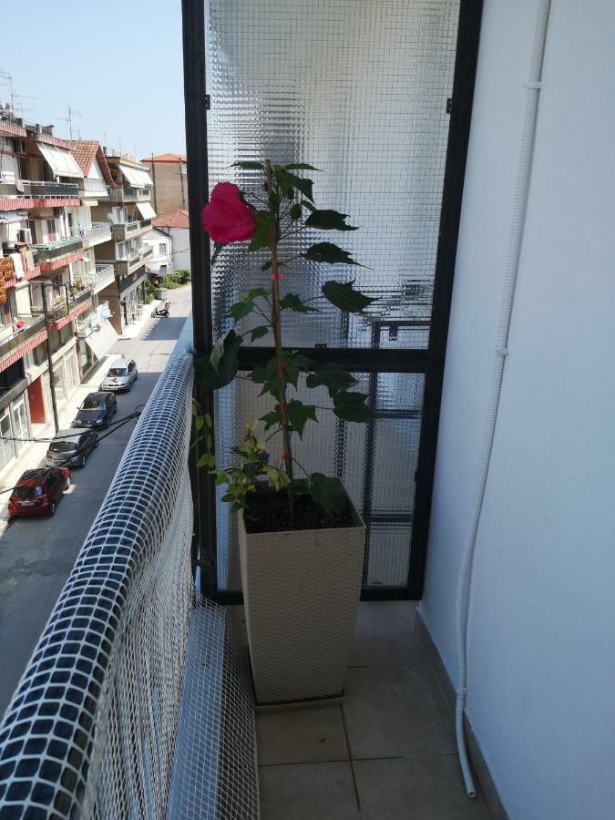 Alexandros Apartment Aridaia Exterior photo